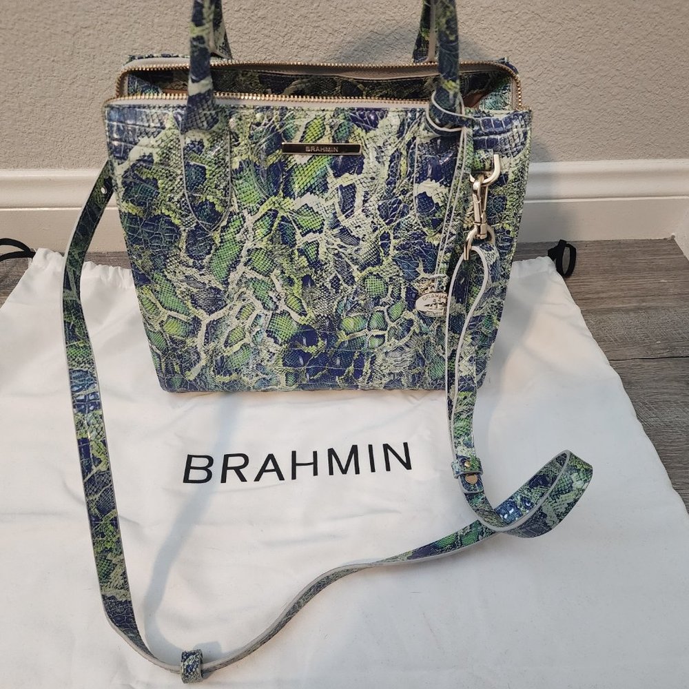 Brahmin - Picture 3 of 8